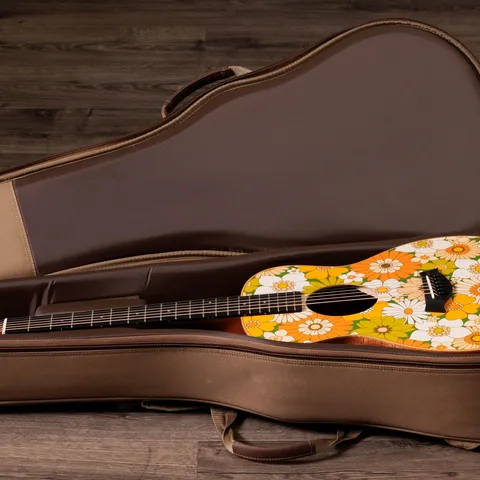 ミニギター： GS Mini シリーズ | Taylor Guitars